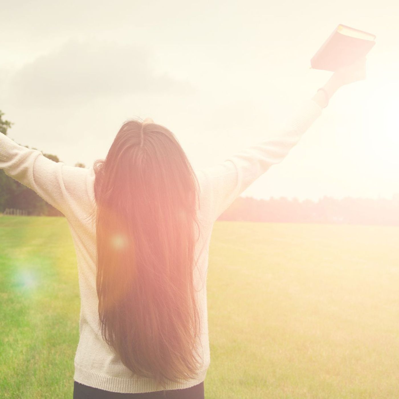 Louanges publiques et privées