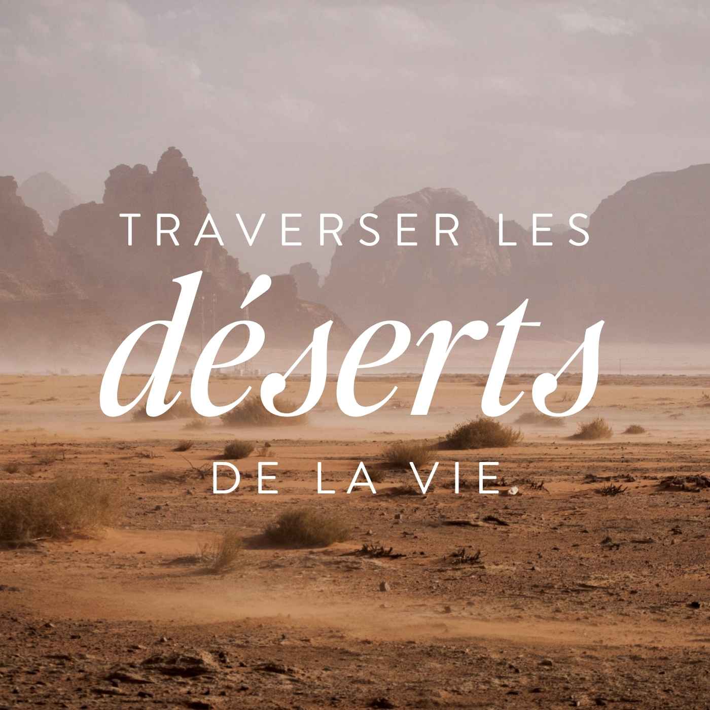 Survivre au désert Survivre au désert